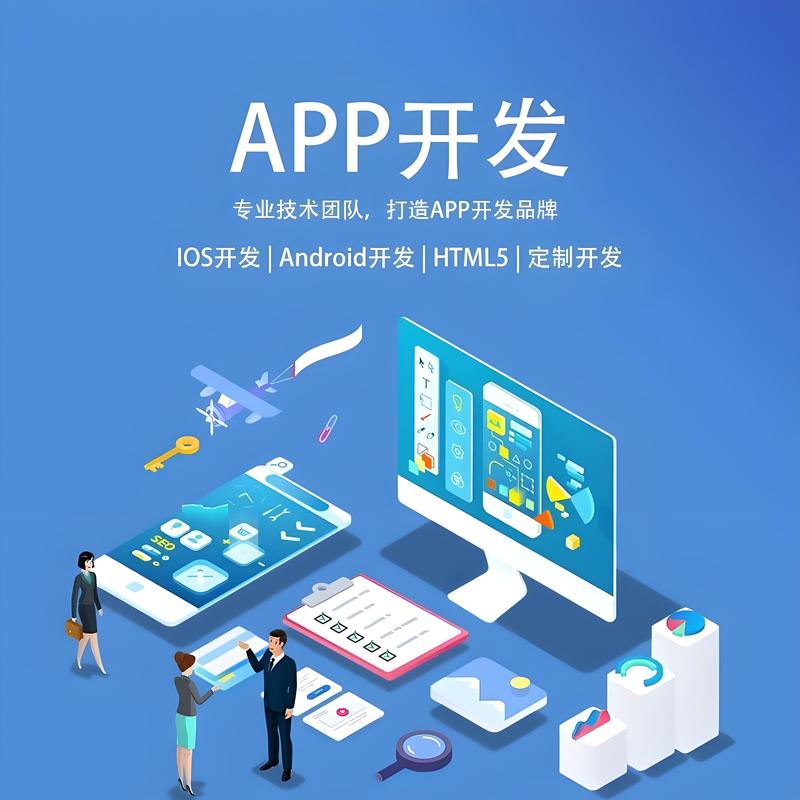 上海软件开发